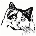 Persian Cat memorial graphic