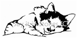 Persian Cat memorial graphic