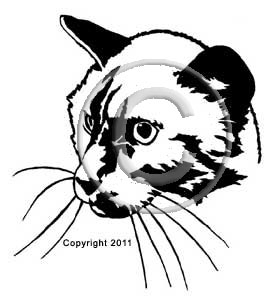 Siamese Cat Head memorial graphic