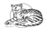 Tabby Cat Sleeping memorial graphic