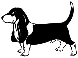 Basset Hound