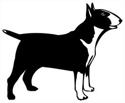 Bull Terrier