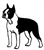 Boston Terrier Graphic