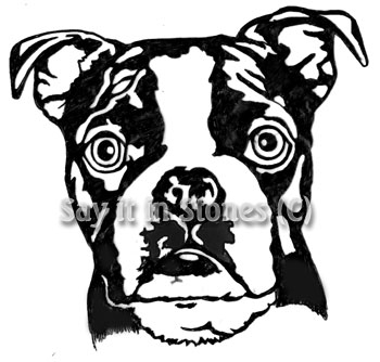 Boston Terrier graphic - apetmemorial.com