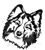 Shetland Sheepdog memorial graphic