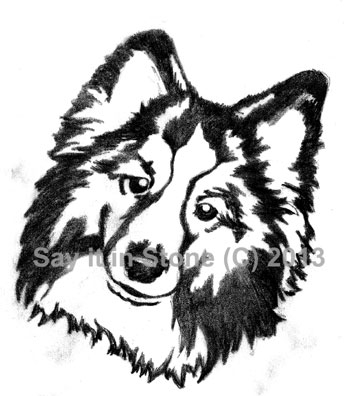 Shetland Sheepdog memorial graphic