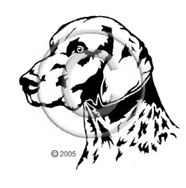 German Short hair pointer image - apetmemorial.com