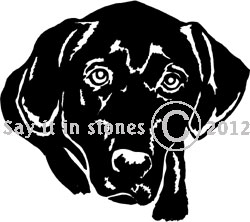Black Labrador image - apetmemorial.com
