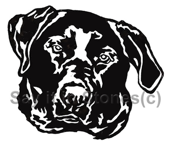 Black Labrador image - apetmemorial.com