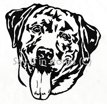 Labrador Image - apetmemorial.com