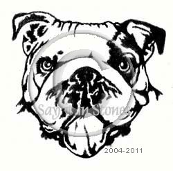 English Bulldog 2