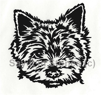 Cairn Terrier 2