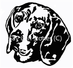 Beagle Dog  Head memorial graphic