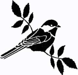 Chickadee