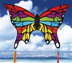 Rainbow Butterfly