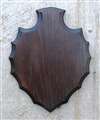 Dark Oak Arrowhead Shoulder Mount Panel 20x24