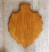 Medium Oak Fiber Core Arrowhead Shoulder Mount Panel 20x24