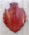 Cedar Arrowhead Shoulder Mount Panel 16x20