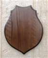 Dark Oak Classic Shoulder Mount Panel 18x23