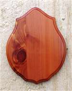 Cedar Deluxe Shoulder Mount Panel 20x24