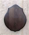 Dark Oak Deluxe Shoulder Mount Panel 16x20