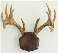 Dark Oak "The Deer Stand" Antler Mounting Kit