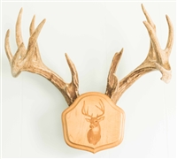 Laser Engraved "The Deer Stand" Antler Mounting Kit