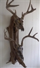 Driftwood Wall Mount for Two Deer