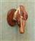 Cedar Large Ram European Skull Mount Wall Pedestal