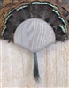 Weathered Wood Turkey Fan Beard Mounting Kit - 01