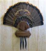 Turkey Fan Beard Plaque for 5 - Black Walnut