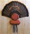 Turkey Fan Beard Plaque for 5 - Cedar