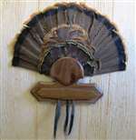 Turkey Fan Beard Plaque for 10 - Black Walnut