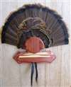 Turkey Fan Beard Plaque for 10 - Cedar