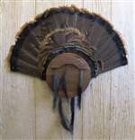 Turkey Fan Beard Plaque for 10 - Black Walnut Circle