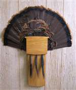 Shotgun Shell Turkey Fan Beard Plaque with Beard Plate  - Medium Oak