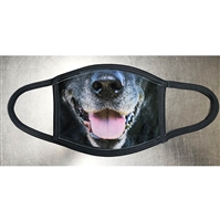 BLACK LABRADOR RETRIEVER GRAY FACE MASK