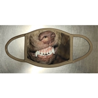 CHESAPEAKE BAY RETRIEVER SMILING FACE MASK