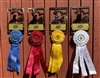 Metal Dog Ribbon holder