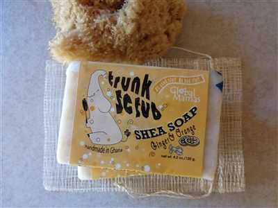 Trunk Scrub Shea Soap, Ginger & Orange - Ghana