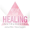 Receive Your Healing Instrumental - Joshua Mills (CD)