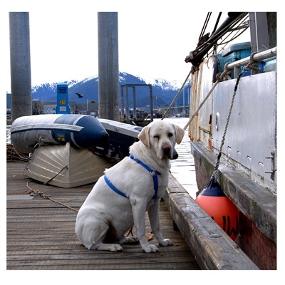 Buddy from Alaskan Pride Seafoods