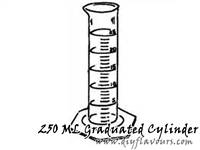 250 ML Graduated Cylinder