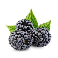 Blackberry