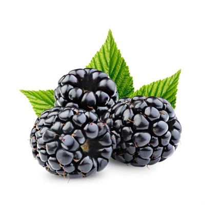 Blackberry