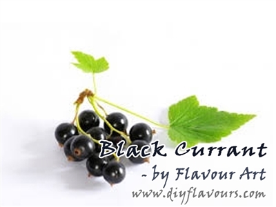 Black Currant Flavor Concentrate by Flavour Art