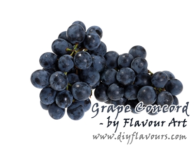 Grape Concord Flavor Concentrate by Flavour Art