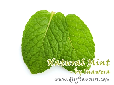 Natural Mint Flavor by Inawera