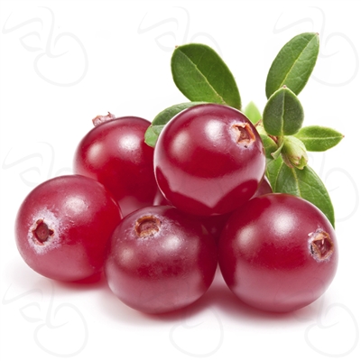 Cranberry by LA