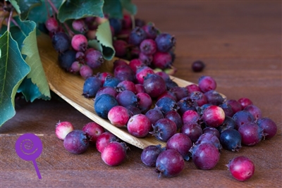 Saskatoon Berries SC by Wonder Flavours